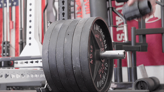 The Best Collars For Your Garage Gym - 2026 46 Husker EaseOfUse