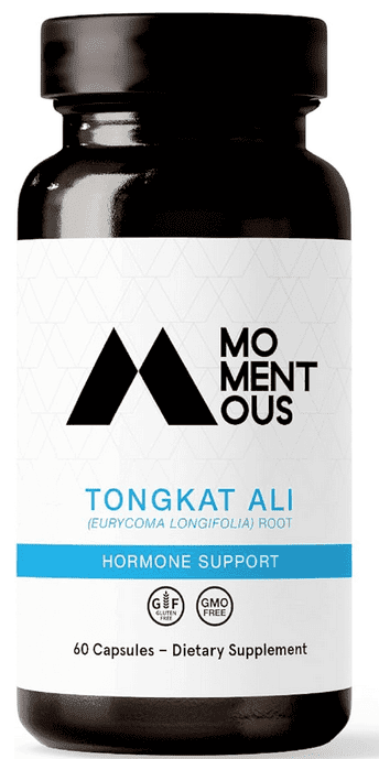 I Took Tongkat Ali For 1 Year And This Happened - Life Hack or Dud? 10 TongkatHuberman