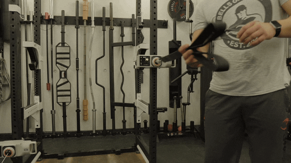 IsoProAbs GIF