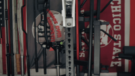 Buy THESE Mag Pins For Your Home Gym in 2026 41 MagPin FancyGIF